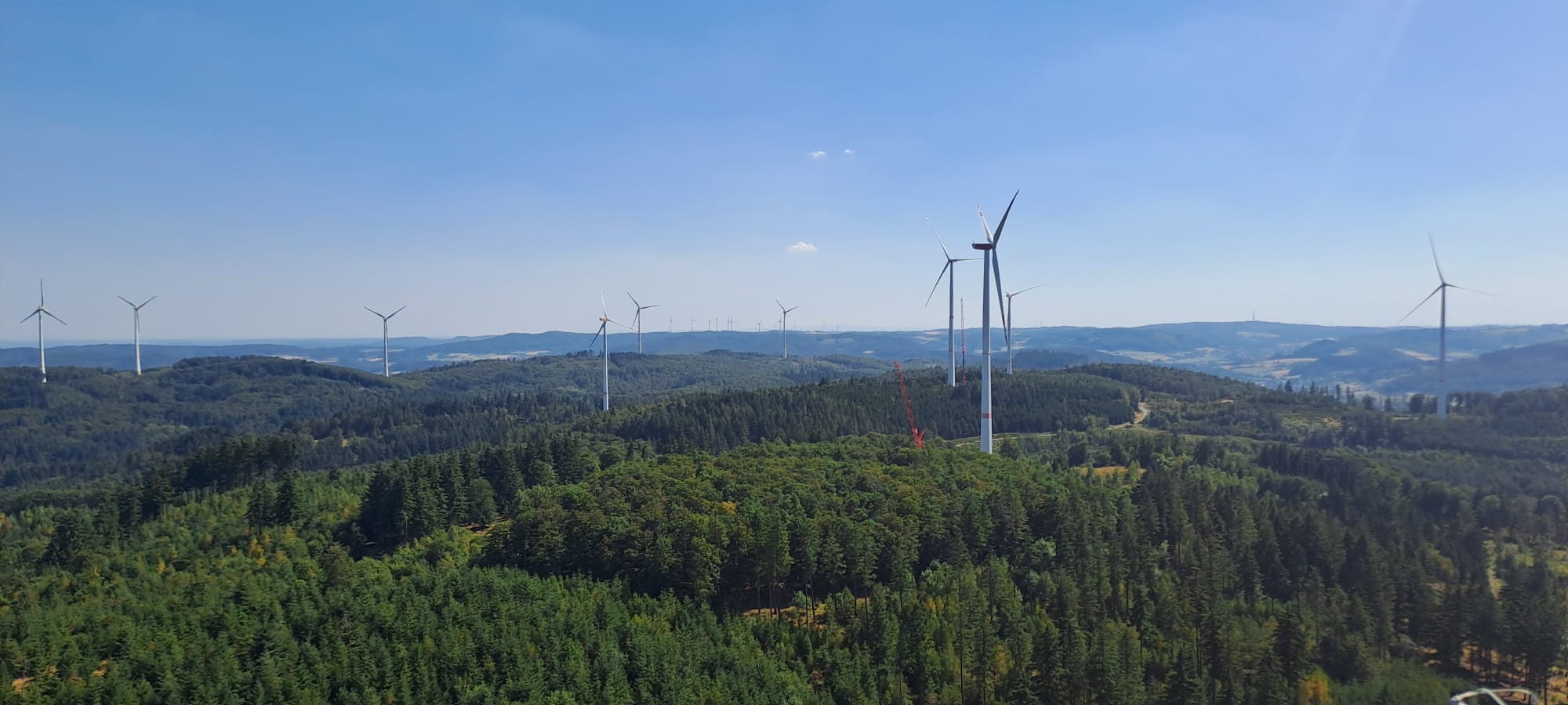 Windpark in einer bewaldeten Landschaft